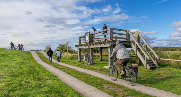 Geführte Wander- und Radtouren in Zingst