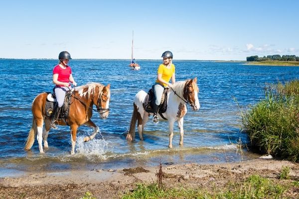 Reiterferien an der Ostsee