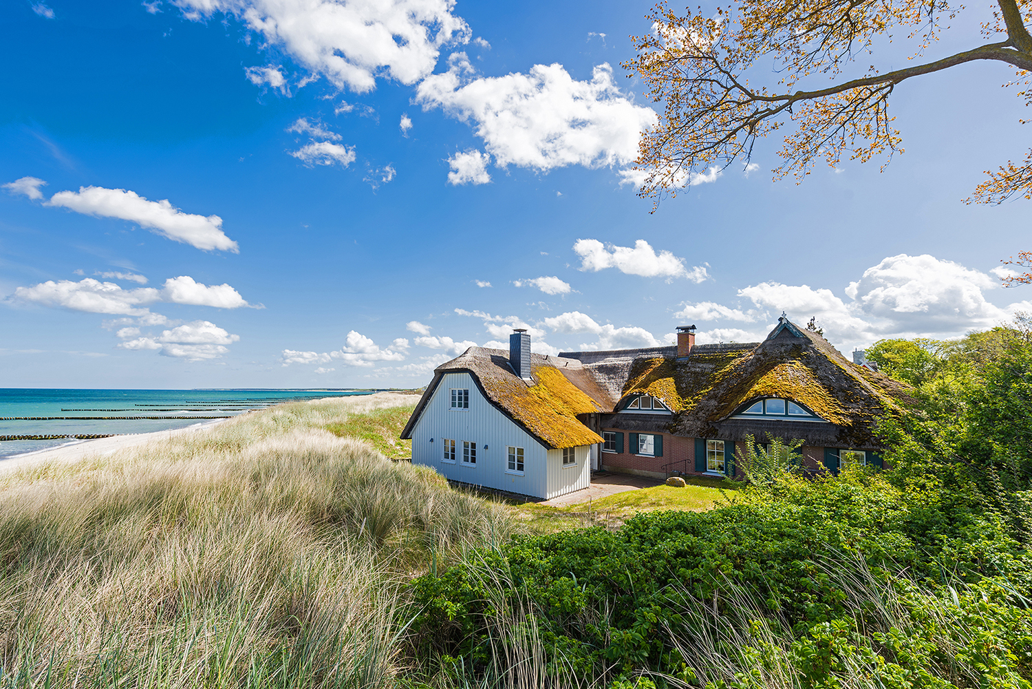 Frühlingserwachen an der Ostsee